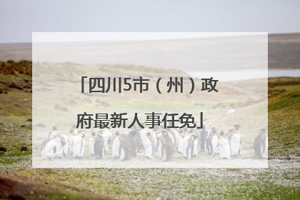 四川5市（州）政府最新人事任免