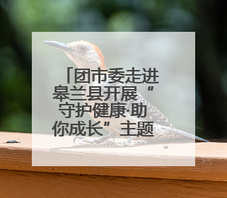 团市委走进皋兰县开展“守护健康·助你成长”主题活动