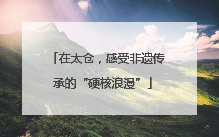 在太仓，感受非遗传承的“硬核浪漫”