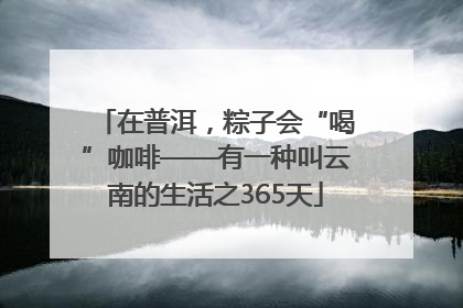 在普洱，粽子会“喝”咖啡——有一种叫云南的生活之365天