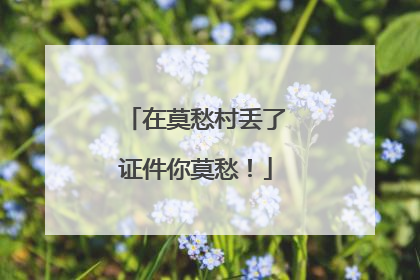 在莫愁村丢了证件你莫愁！
