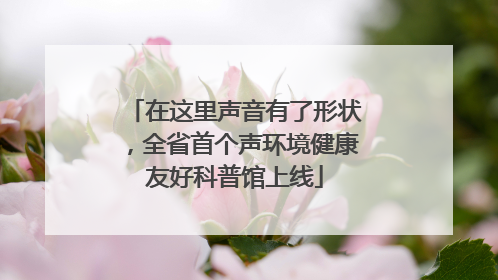 在这里声音有了形状，全省首个声环境健康友好科普馆上线