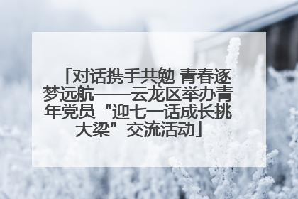 对话携手共勉 青春逐梦远航——云龙区举办青年党员“迎七一话成长挑大梁”交流活动