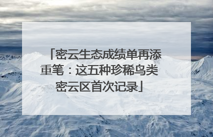 密云生态成绩单再添重笔：这五种珍稀鸟类密云区首次记录