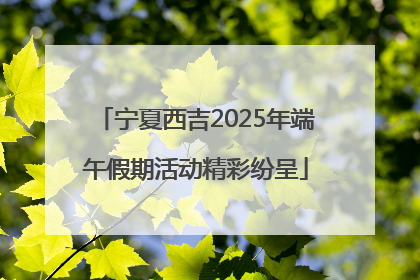 宁夏西吉2025年端午假期活动精彩纷呈