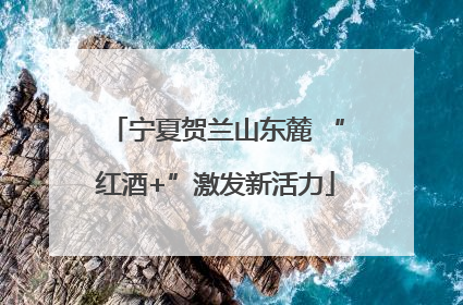 宁夏贺兰山东麓 “红酒+”激发新活力