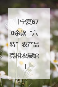 宁夏670余款“六特”农产品亮相农展馆