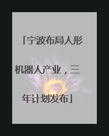 宁波布局人形机器人产业，三年计划发布