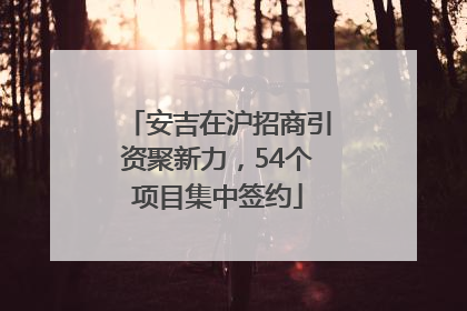 安吉在沪招商引资聚新力，54个项目集中签约