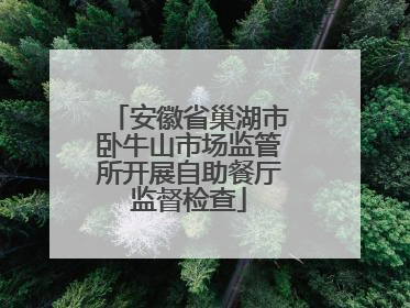 安徽省巢湖市卧牛山市场监管所开展自助餐厅监督检查