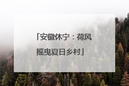 安徽休宁：荷风摇曳夏日乡村