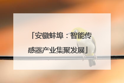 安徽蚌埠：智能传感器产业集聚发展