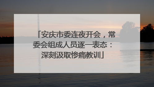 安庆市委连夜开会，常委会组成人员逐一表态：深刻汲取惨痛教训