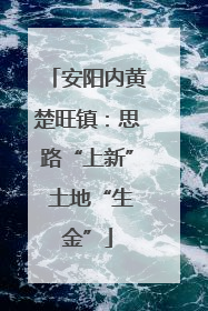 安阳内黄楚旺镇：思路“上新” 土地“生金”