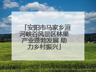 安阳市马家乡洹河峡谷风景区林果产业蓬勃发展 助力乡村振兴