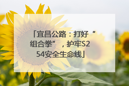宜昌公路：打好“组合拳”，护牢S254安全生命线