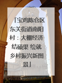 宝鸡陈仓区东关街道南阳村：大棚经济结硕果 绘就乡村振兴新图景