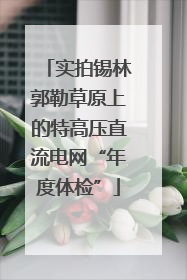 实拍锡林郭勒草原上的特高压直流电网“年度体检”