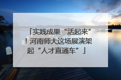 实践成果“活起来”！河南师大这场展演架起“人才直通车”