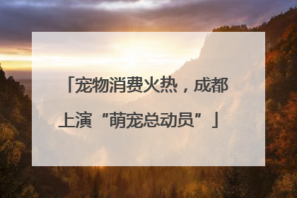 宠物消费火热，成都上演“萌宠总动员”
