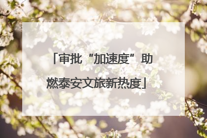 审批“加速度”助燃泰安文旅新热度
