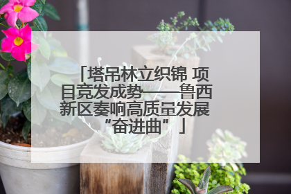 塔吊林立织锦 项目竞发成势——鲁西新区奏响高质量发展“奋进曲”