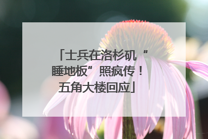 士兵在洛杉矶“睡地板”照疯传！五角大楼回应