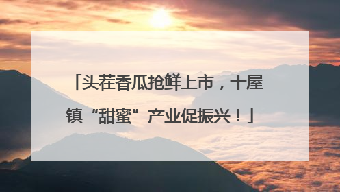 头茬香瓜抢鲜上市，十屋镇“甜蜜”产业促振兴！