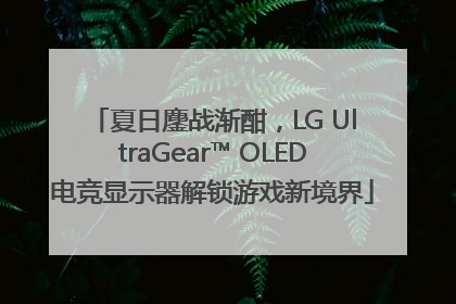 夏日鏖战渐酣，LG UltraGear™ OLED电竞显示器解锁游戏新境界