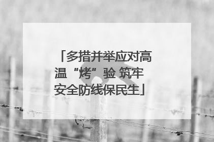 多措并举应对高温“烤”验 筑牢安全防线保民生