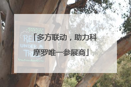 多方联动，助力科摩罗唯一参展商