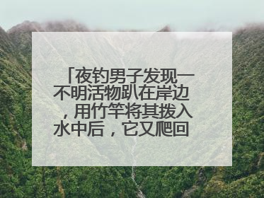 夜钓男子发现一不明活物趴在岸边，用竹竿将其拨入水中后，它又爬回岸边……