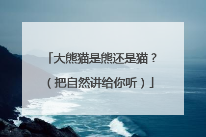 大熊猫是熊还是猫？（把自然讲给你听）