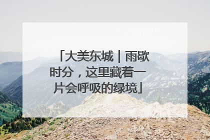 大美东城｜雨歇时分，这里藏着一片会呼吸的绿境