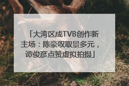 大湾区成TVB创作新主场：陈豪叹取景多元，谭俊彦点赞虚拟拍摄