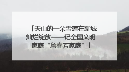 天山的一朵雪莲在聊城灿烂绽放——记全国文明家庭“詹春芳家庭”