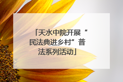 天水中院开展“民法典进乡村”普法系列活动