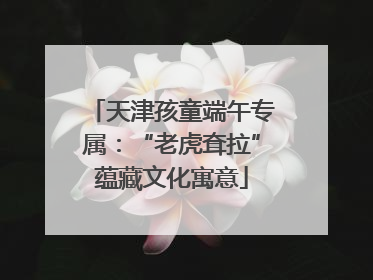 天津孩童端午专属：“老虎耷拉”蕴藏文化寓意