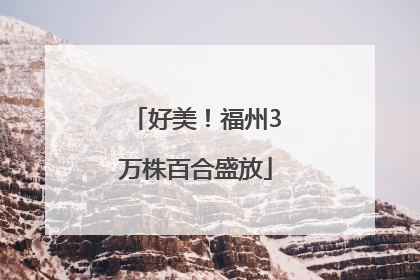 好美！福州3万株百合盛放