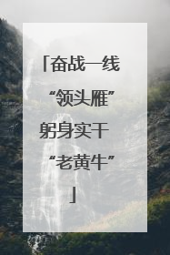 奋战一线“领头雁” 躬身实干“老黄牛”