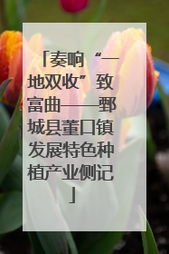奏响“一地双收”致富曲——鄄城县董口镇发展特色种植产业侧记