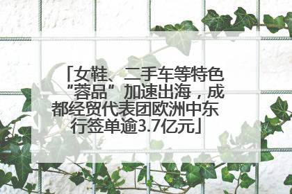 女鞋、二手车等特色“蓉品”加速出海，成都经贸代表团欧洲中东行签单逾3.7亿元