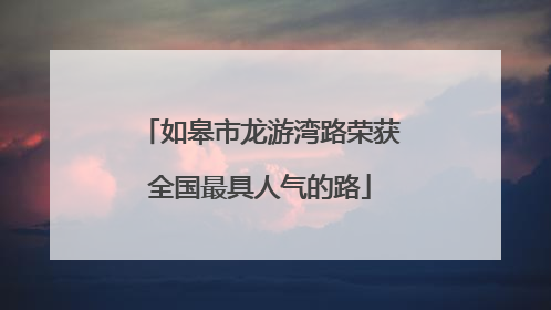 如皋市龙游湾路荣获全国最具人气的路