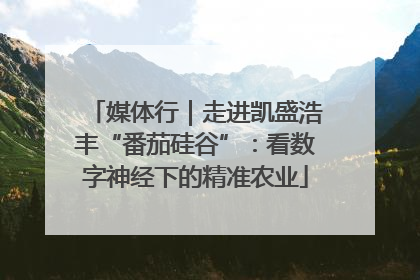 媒体行｜走进凯盛浩丰“番茄硅谷”：看数字神经下的精准农业
