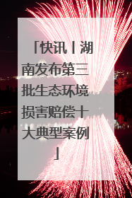 快讯丨湖南发布第三批生态环境损害赔偿十大典型案例