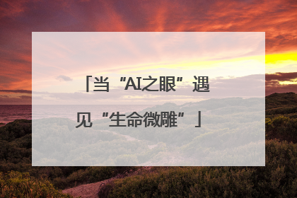 当“AI之眼”遇见“生命微雕”