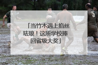 当竹木遇上掐丝珐琅！这所学校捧回省级大奖