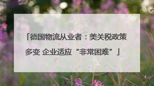 德国物流从业者：美关税政策多变 企业适应“非常困难”