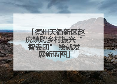 德州天衢新区赵虎镇聘乡村振兴“智囊团” 绘就发展新蓝图