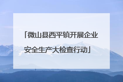 微山县西平镇开展企业安全生产大检查行动
